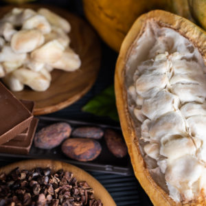 Ruta del Cacao