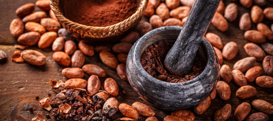 Cocoa concept with stone mortar and pestle with raw, peeled, and crushed Theobroma cacao cocoa beans