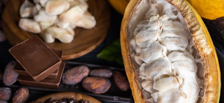 cocoa pods, beans and powder on wooden table, top view