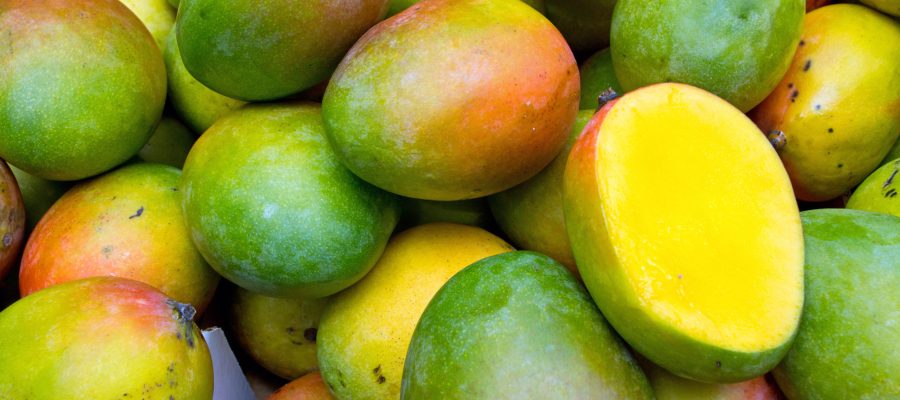 ruta-mango-paisnaturd