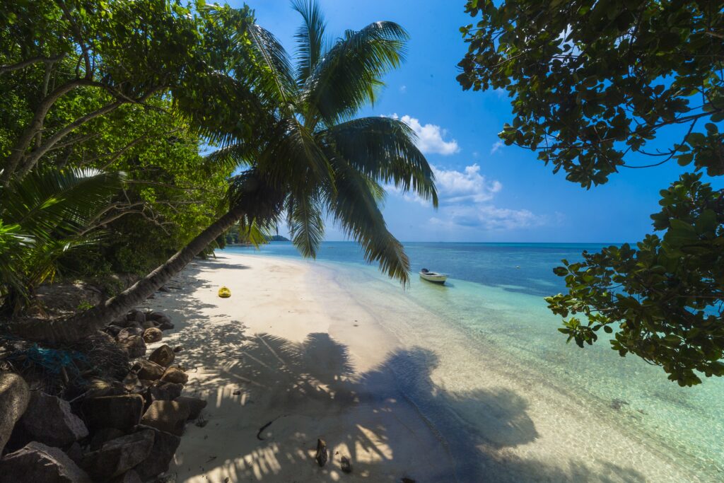 Playa virgen de Las Galeras, ideal para proyectar villas privadas y asegurar una inversión con alto potencial de revalorización. Muestra la oportunidad única de comprar terrenos desde USD 35/m².
